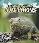 Rain Forest Animal Adaptations