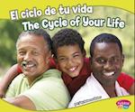 El Ciclo de Tu Vida/The Cycle of Your Life