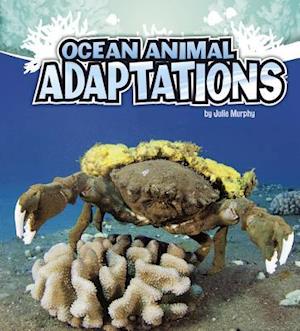 Ocean Animal Adaptations (Amazing Animal Adaptations)