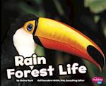 Rain Forest Life