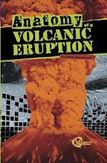 Anatomy of a Volcanic Eruption