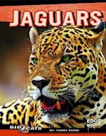 Jaguars