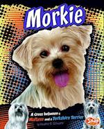 Morkie