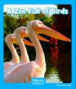 A Zoo Full of Birds