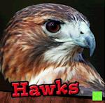 Hawks