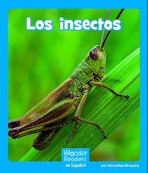 Los Insectos