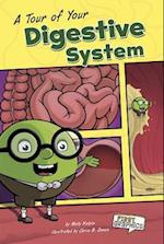 A Tour of Your Digestive System