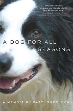 Dog for All Seasons