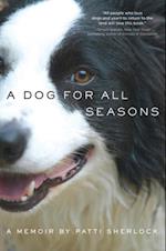 Dog for All Seasons
