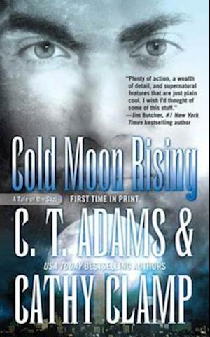 Cold Moon Rising