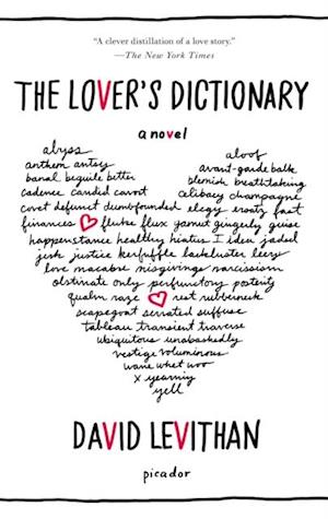 Lover's Dictionary