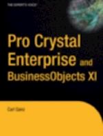 Pro Crystal Enterprise / BusinessObjects XI Programming