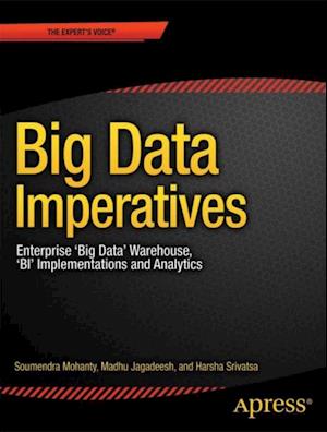 Big Data Imperatives