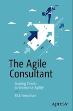 Agile Consultant