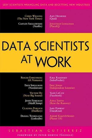 Data Scientists at Work