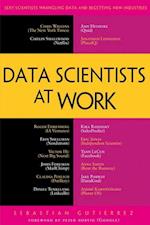 Data Scientists at Work