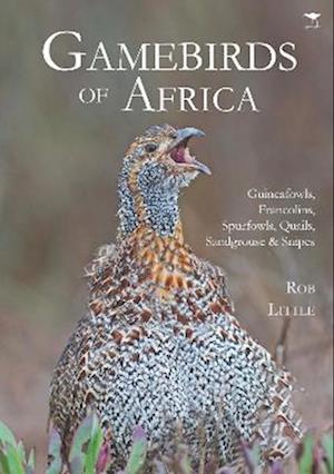 Gamebirds of Africa