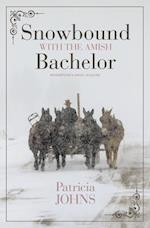 Snowbound with the Amish Bachelor
