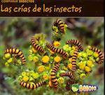 Comparar Insectos