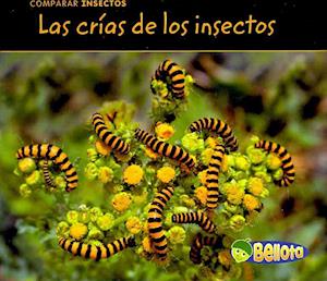 Comparar Insectos