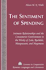 The Sentiment of Spending