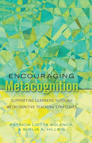 Encouraging Metacognition