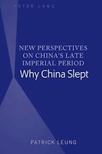 New Perspectives on China's Late Imperial Period