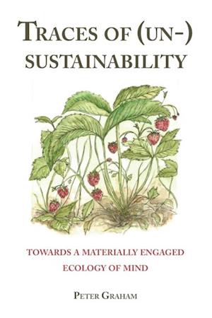 Traces of (Un-) Sustainability