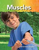 Muscles (the Human Body)