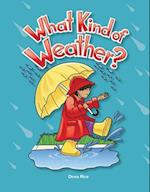 What Kind of Weather? Lap Book (Weather)