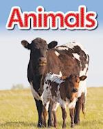 Animals Lap Book (Animals)