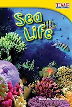 Sea Life (Upper Emergent)