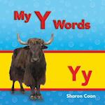 My Y Words (More Consonants, Blends, and Digraphs)