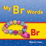 My Br Words (More Consonants, Blends, and Digraphs)