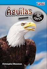 Águilas de Cerca (Eagles Up Close) (Spanish Version) = Eagles Up Close