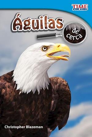 Aguilas de cerca