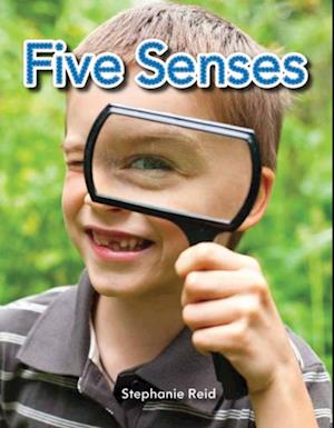 Five Senses