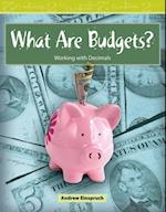 What Are Budgets?