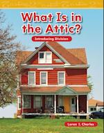 What Is in the Attic?