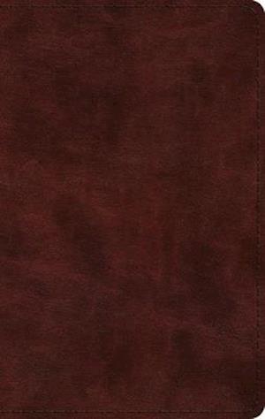 ESV Large Print Thinline Bible (Trutone, Mahogany)