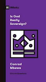 Is God Really Sovereign?