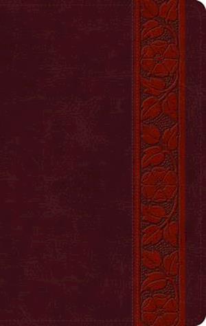 ESV Large Print Personal Size Bible