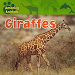 Giraffes