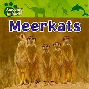 Meerkats