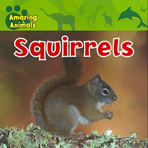 Squirrels