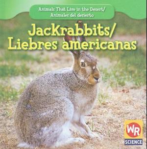 Jackrabbits/Liebres Americanas