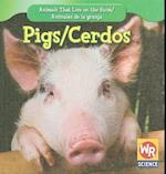 Pigs/Cerdos