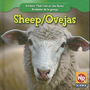 Sheep/Ovejas