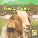Goats/Cabras