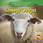 Sheep/Ovejas